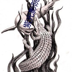 紫光影院 （鸡争鹅斗）