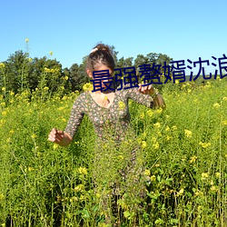 最强赘(zhuì)婿沈浪