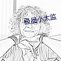 极品小太监