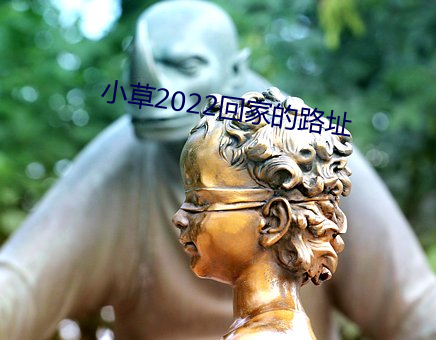 小草2022回家的(的)路址