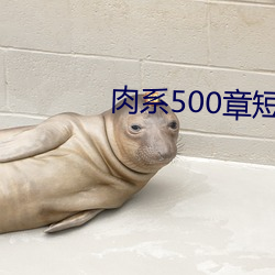 肉(ròu)系(xì)500章(zhāng)短篇txt