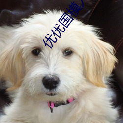 优优国模(模)人体美(美)女大胆艺术照高清大图