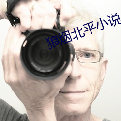 狼煙北平小說