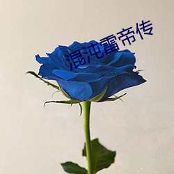 混沌雷帝傳