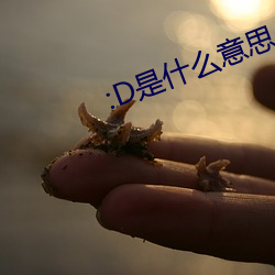 :D是什么(麽)意(意)思 视频(頻)
