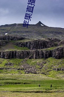 苹果直播视(shì)频(pín)