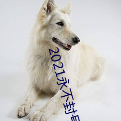 2021永不封号的直播