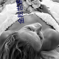 金粉世(世)家小说