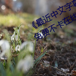 《最近中文字幕免费MV2018在线》免费不卡在线观看