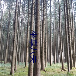 坐享八夫 珠算）