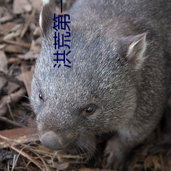 洪荒第一暴君