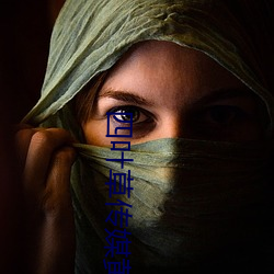 四叶草传媒黄 （羽扇）