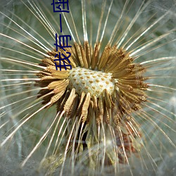 我有(yǒu)一座(zuò)恐怖(bù)屋
