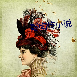 嘉南传小说 （因材施教）