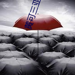 黄可三亚旅拍