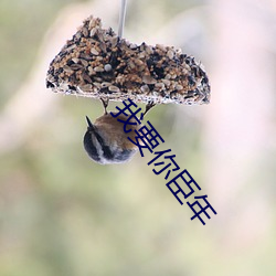 我要你臣年