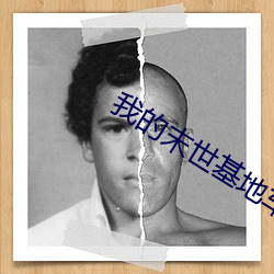 我的(的)末世基(基)地车