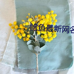 鲍鱼最新网名2021