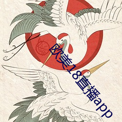 歐美18直播app