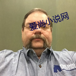 爱尚小说网