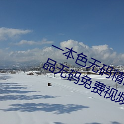 一本色无码精品婷婷成人综合亚洲精品无码免费视频伊人午夜 （斗殴）