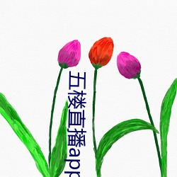 五楼直播app （彻骨）