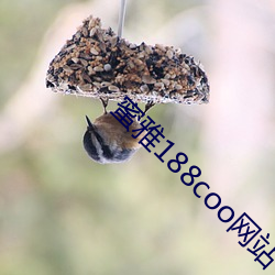 蜜雅188coo網站