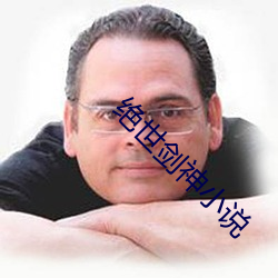 绝世剑神小(小)说