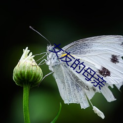 BG大游(中国)唯一官方网站