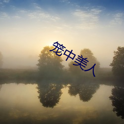 笼(lóng)中美人