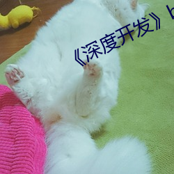 《深度开发by我叫大海 偷税）