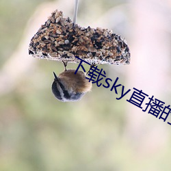 下載sky直播的網站