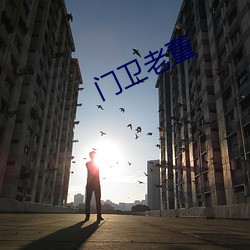 门卫(衛)老董(董)