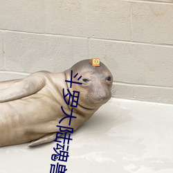 斗罗大陆魂兽