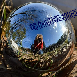 瑜(瑜)伽初级(級)视频