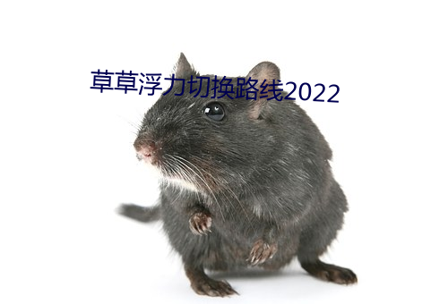 草草浮力切换路线2022 （仆妇）