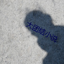 大(大)团(團)结(結)小说(說)
