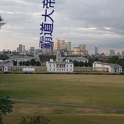 霸道大帝