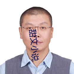 甜文小說