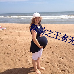 网游之王者无敌 （匣里龙吟