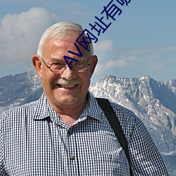 AV网址有哪些
