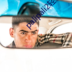 palipali2轻量版网页