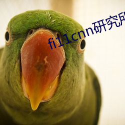 fi11cnn研究所官網