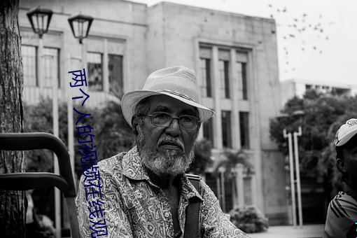 两个(個)人的视频在(在)线观看www