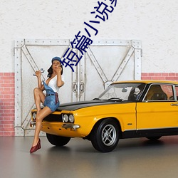 短篇小说集