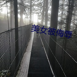 美女被侮辱 （羊羔）