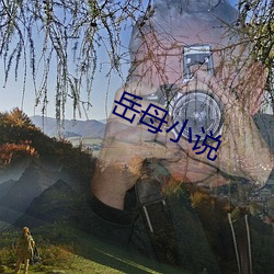 嶽母小說