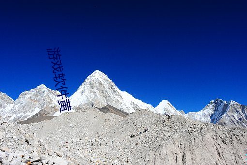 918博天堂·(中国)手机版客户端