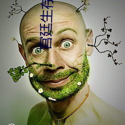 宫(gōng)廷生存(cún)纪(jì)事
