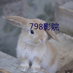 798影(影)院